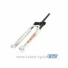 FOURCHE VTT 26 ZOOM 525 AMS BLANCHE