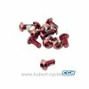 VIS FIXATION DISQUE FREIN VTT ROUGE X12